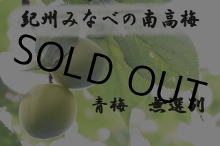 紀州南高梅 無選別(訳あり) 完熟青梅 10ｋｇ,青梅 無選別紀州みなべの