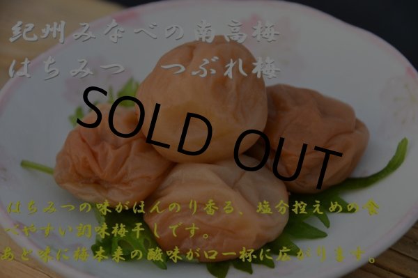 画像1: はちみつ　つぶれ梅　塩分8％　小粒サイズ　300ｇ (1)