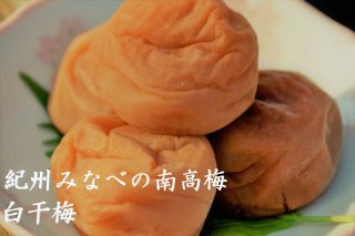 訳あり 紀州みなべの南高梅 白干し梅 中粒サイズ ２ｋｇ