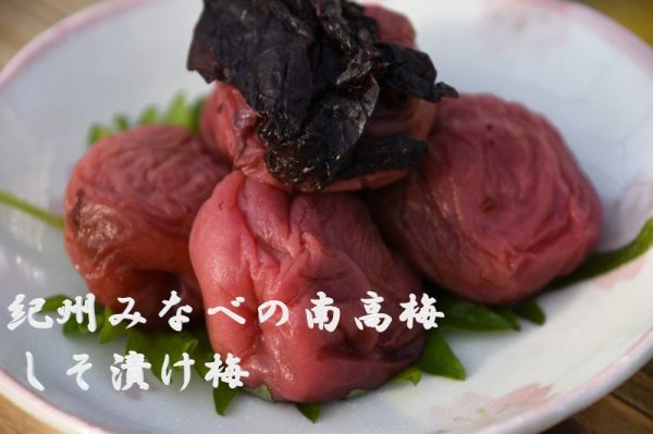画像1: 紀州みなべの南高梅　しそ漬け梅　中粒サイズ　300ｇ (1)
