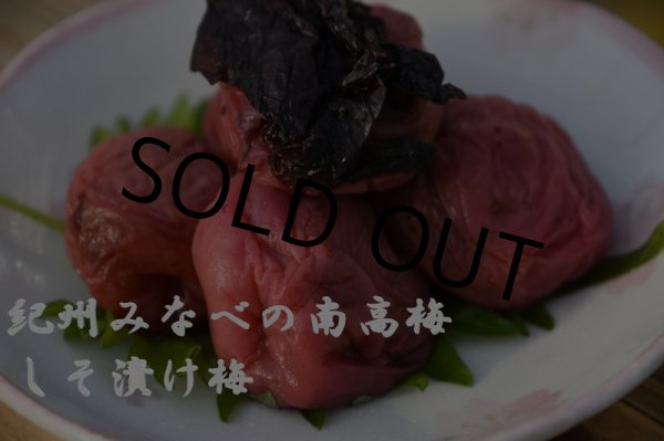 画像1: 紀州みなべの南高梅　しそ漬け梅　中粒サイズ　300ｇ　12個パック入り (1)